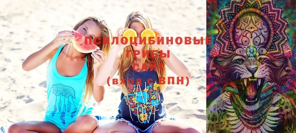 бутират Дмитриев