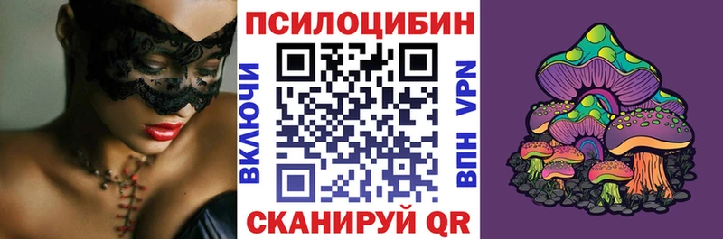 KRAKEN ссылка Москва Галлюциногенные грибы Magic Shrooms